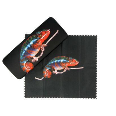 Etui do okularów korekcyjnych  Barbuda C2